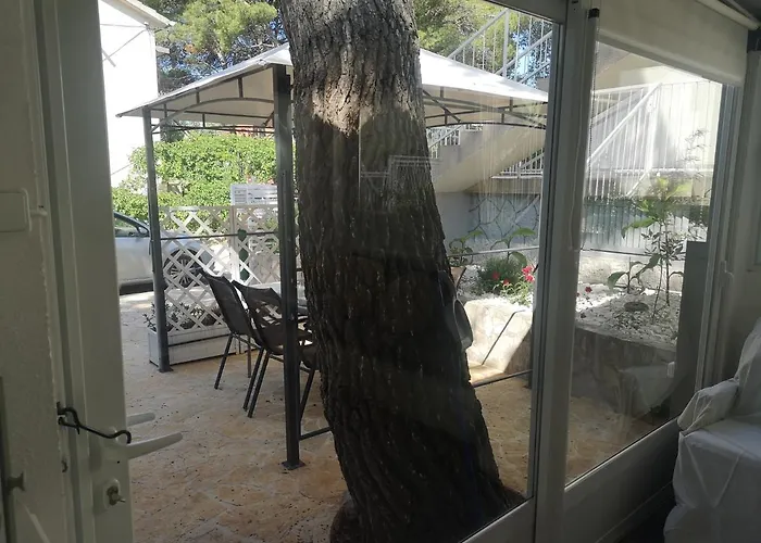 Holiday home Mala Kuca Ispod Borova Primosten